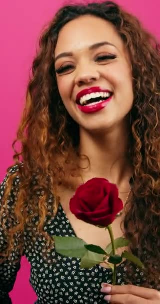 Gyönyörű Fiatal Flörtöl Egy Szál Rózsa Valentin Nap Rózsaszín Stúdió — Stock videók