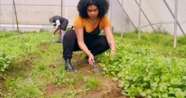 Genç kadın çiftçi sera tünelini kazarken kameraya gülümsüyor. Yüksek kalite 4k görüntü