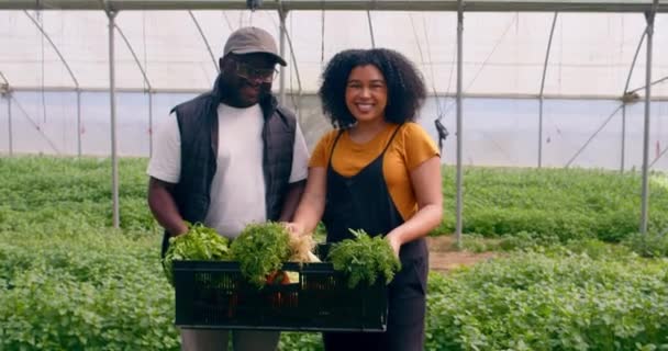 Dois Agricultores Falando Segurando Caixa Legumes Posar Sorrir Túneis Agrícolas — Vídeo de Stock