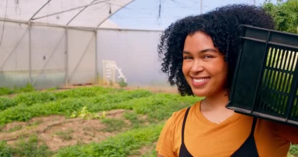 Portret Czarnej Farmerki Uśmiechniętej Trzymającej Skrzynkę Warzyw Farmie Wysokiej Jakości — Wideo stockowe