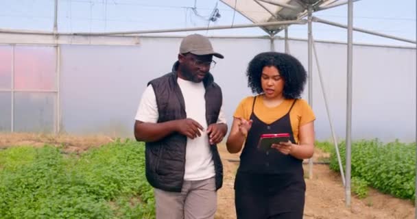Twee Zwarte Boeren Lopen Praten Bespreken Data Analyse Met Digitale — Stockvideo