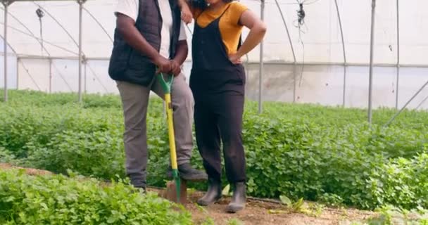 两个农民站在田里 拿着铲子和温室摆姿势的画像 高质量的4K镜头 — 图库视频影像