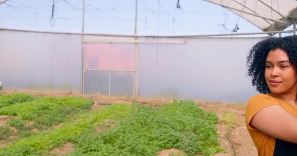 农庄上的黑人女性农民面带微笑 提着一箱箱蔬菜的画像 高质量的4K镜头 — 图库视频影像