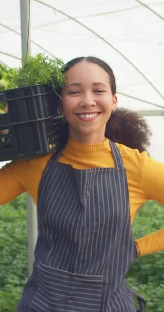 Портрет Чернокожей Женщины Фермера Улыбающейся Держащей Ящик Овощами Ферме Высококачественные — стоковое видео