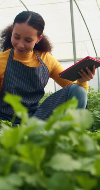 Mujer Multiétnica Comprueba Calidad Los Cultivos Registros Tableta Digital Análisis — Vídeo de stock