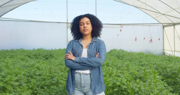 温室野原に立っている若い多民族女性農夫の肖像画 高品質の4K映像 — ストック動画