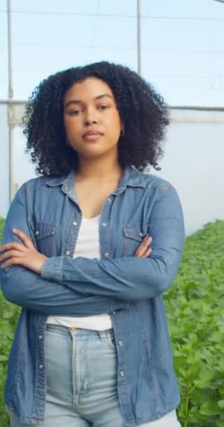 Πορτρέτο Της Νεαρής Πολυεθνικής Αγρότισσας Που Στέκεται Στον Τομέα Του — Αρχείο Βίντεο