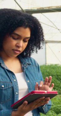 Kadın çiftçi sera tünellerinde dikiliyor, ekinleri sayıyor dijital tablet. Yüksek kalite 4k görüntü