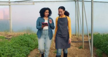Yürüyen ve konuşan iki kadın çiftçi dijital tablet ile veri analizini tartışıyor. Yüksek kalite 4k görüntü
