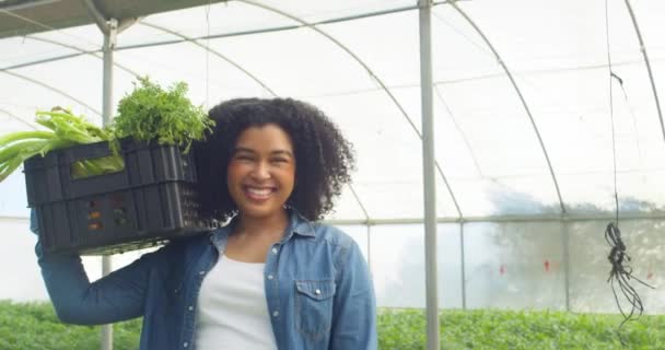Fekete Farmer Portréja Amint Mosolyog Egy Láda Zöldséget Tart Farmon — Stock videók