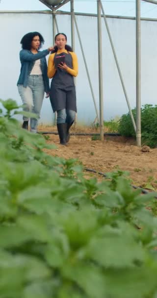 Deux Agricultrices Marchent Parlent Discutent Analyse Des Données Avec Une — Video