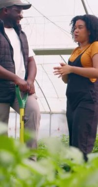 İki çiftçi serada dikilip, kürekle ve sebze yetiştiriciliğiyle konuşuyor. Yüksek kalite 4k görüntü