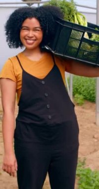 Siyahi kadın çiftçinin portresi. Çiftlikte gülümseyen ve sebze dolu sandıkları tutan. Yüksek kalite 4k görüntü