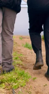 Sera arazilerinde, toprak ve toprakta yürüyen iki çiftçinin ayağını kapatın. Yüksek kalite 4k görüntü