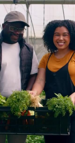 Két Farmer Beszélget Egy Láda Zöldséggel Pózolnak Mosolyognak Farm Alagútjaiban — Stock videók