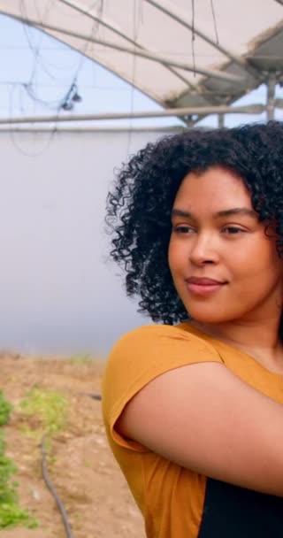 Siyahi Kadın Çiftçinin Portresi Çiftlikte Gülümseyen Sebze Dolu Sandıkları Tutan — Stok video