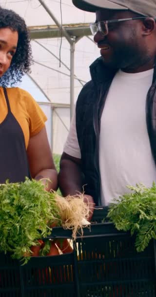 Két Farmer Beszélget Egy Láda Zöldséggel Mosolyognak Pózolnak Farm Alagútjaiban — Stock videók