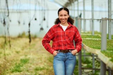 Çok ırklı bir kadın çiftçi bir serada duruyor, arka planda mahsuller var, gülümsüyor. Yüksek kalite fotoğraf