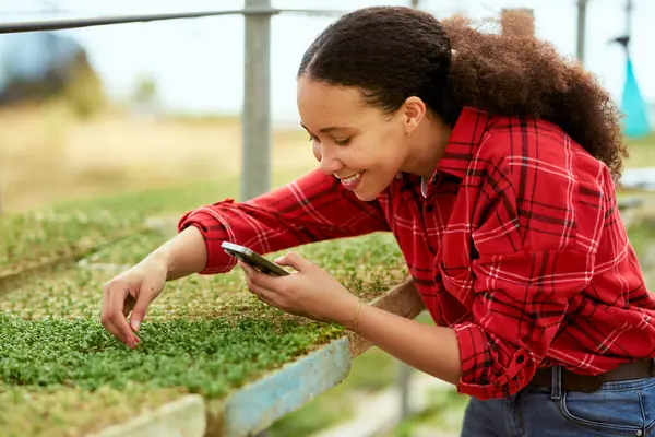 stock image Multi-ethnic female farmer monitoring crops in greenhouse with digital device. High quality photo