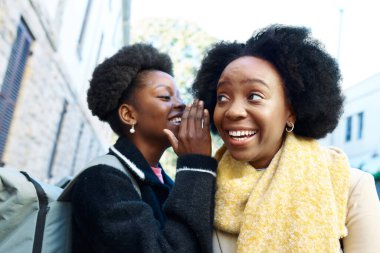 İki arkadaş, güneşli bir günde neşeli bir şekilde gizli bir anı paylaşıyorlar. Neşeli ifadeleri ve canlı kıyafetleri derin bir dostluk ve mutluluk bağını yansıtıyor.