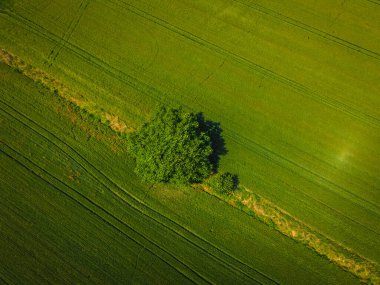 Yeşil alanın havadan görüntüsü