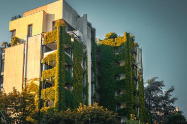 Şehrin modern binası