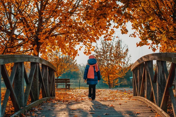 Sonbahar parkında bir kız köprüden geçiyor. Sarı ağaçlar ve güneşli güzel sonbahar manzarası. - Evet. Yüksek kalite fotoğraf