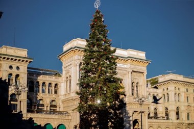 Ağacın Noel 'i gibi. Piazza del Duomo 'da. Noel ışıkları Milano meydanını aydınlatıyor. - Evet. Yüksek kalite fotoğraf