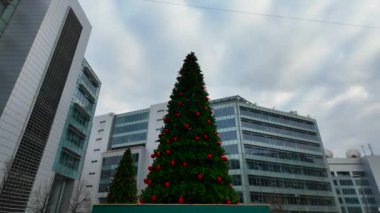 Milano, İtalya 'nın Santa Giulia bölgesindeki meydanda güzel Noel ağaçları 3.01.2024
