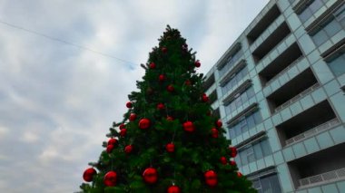 Milano, İtalya 'nın Santa Giulia bölgesindeki meydanda güzel Noel ağaçları 3.01.2024