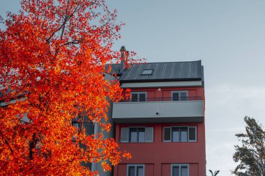 Yeşil alandaki modern konut binaları. Avrupa 'daki apartmanlar. San Giuliano Milano, İtalya 'daki güzel emlak evleri manzarası.. 