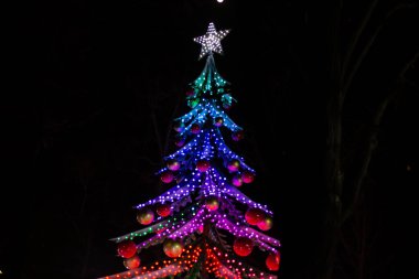 Atlıkarınca cazibesi Noel ağacı şeklinde. Noel Köyü bir Milano. Villaggio delle Meraviglie. İtalya, Milan 03.01.2024. Yüksek kalite fotoğraf