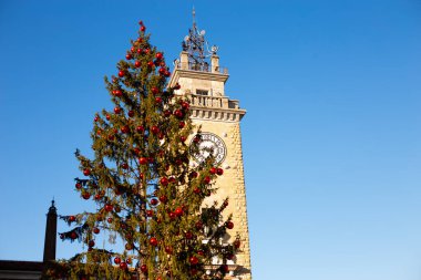 İtalya 'da kış tatili. İtalya, Bergamo 'nun merkezinde hediyeleri olan güzel bir yeni yıl ağacı.. 