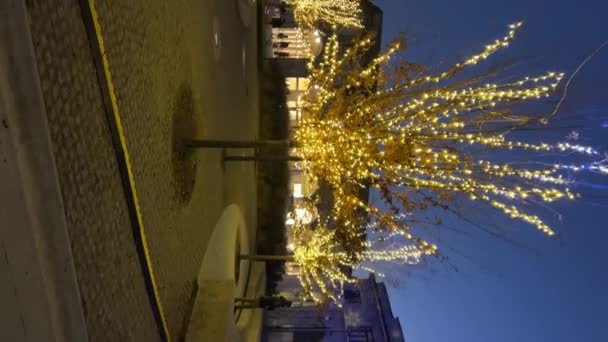 Atmosfera Natal Bergamo Lombardia Itália 2023 Ruas Cidade Decoradas Para — Vídeo de Stock