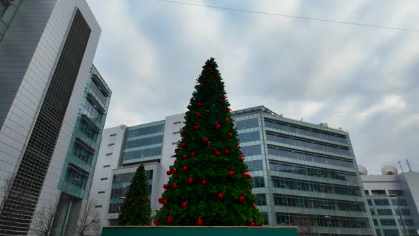 Beautiful Christmas Trees Square Santa Giulia District Milan Italy 2024 — Stock Video