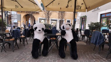 İki peluş panda. Verona, İtalya 'nın Venedik bölgesinde bir şehirdir. Eski kasaba alanı Adige Nehri 'nin bir kıvrımında yer almaktadır. Verona, İtalya 3.01.2024. Yüksek kalite fotoğraf