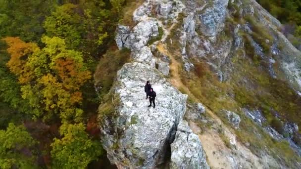 Nature Russia Zhiguli Mountains View Drone Volga River Rock Falcon — Stock Video