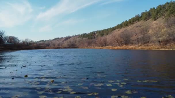 川の上のドローンで低飛行する ロシアの秋の自然に関するドローン展望 ロシア サマラ地方 — ストック動画