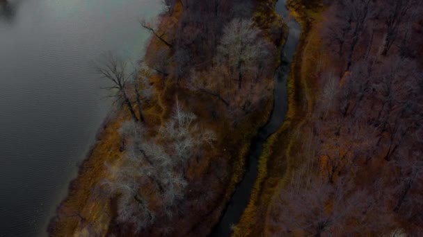 Φθινόπωρο Θέα Αεροφωτογραφία Του Ποταμού Βόλγα Δάσος Και Grushinsky Φεστιβάλ — Αρχείο Βίντεο