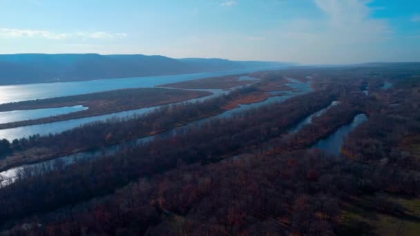 Volga Nehri Ormanı Grushinsky Festivali Çayırı Nın Havadan Bakış Alanı — Stok video
