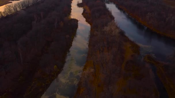 Herfst Tapijt Luchtfoto Van Rusland Natuur Drone Beelden Wolga Rivier — Stockvideo