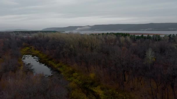 ロシアの秋のタペストリー空中ビュー ヴォルガ川 山の上の自然ドローンフッテージ ロシア サマラ地方 高品質の4Kドローン映像 — ストック動画