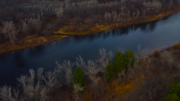 Осінній Вид Повітряні Краєвиди Річки Волги Лісу Фестивалю Грушинський Луг — стокове відео