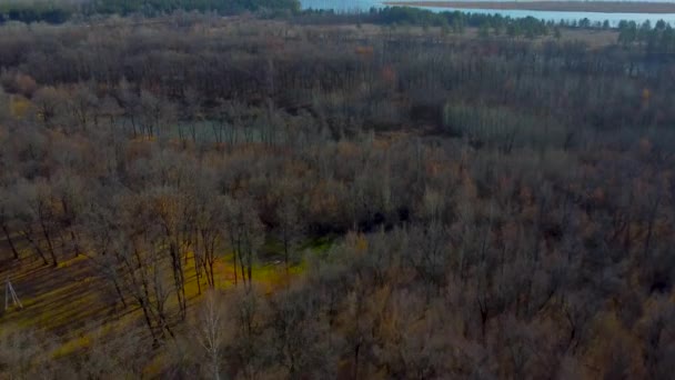 Autumn Tapestry Aerial Views Russia Nature Drone Footage Volga River — Stock Video