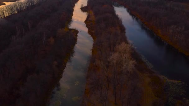 秋の展望ヴォルガ川 グラシンスキーフェスティバルメドウの空想的な景色 秋のドローンから見たロシアの自然 高品質の4K映像 — ストック動画