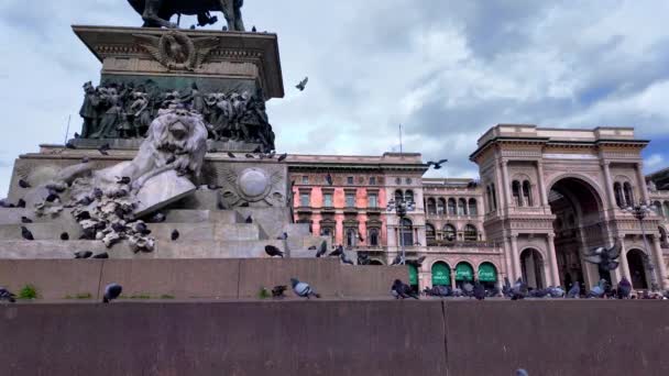 スローモーション シンフォニー ミラノで発表されたデュオモ広場チャーム イタリアのミラノのデュオモ広場のピジョン 2024 高品質の4K映像 — ストック動画