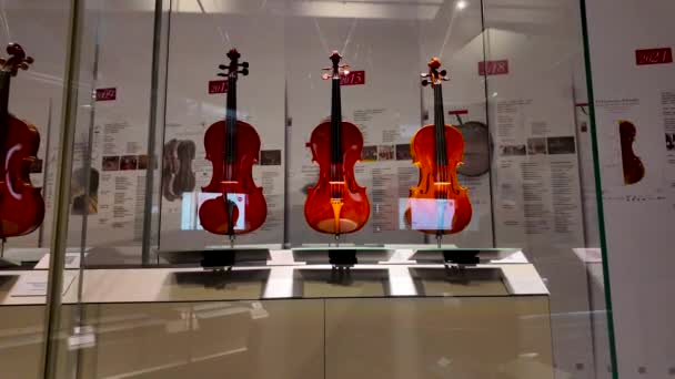 Violinmuseet Cremona Italien 2024 — Stockvideo