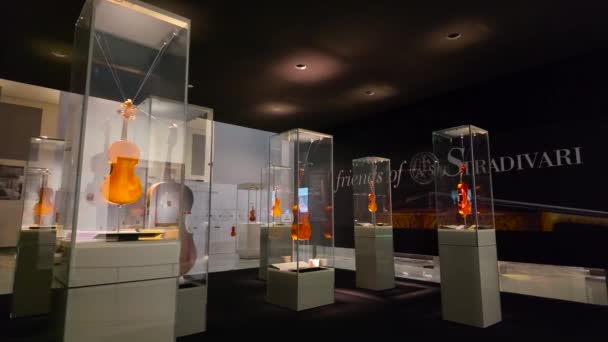 Μουσείο Βιολί Στην Κρεμόνα Της Ιταλίας 2024 Μουσείο Φημίζεται Για — Αρχείο Βίντεο