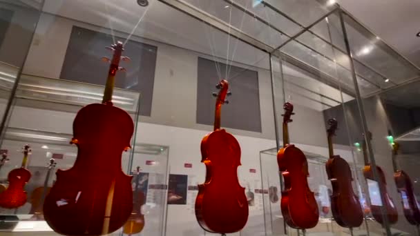 Italien Cremona 2024 Berömt Violinmuseum Cremona Stradivari Museum — Stockvideo