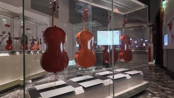 Berühmtes Geigenmuseum Italien Cremona Hochwertiges Filmmaterial — Stockvideo